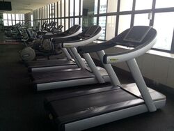 International Plaza (D2), Apartment #498808051